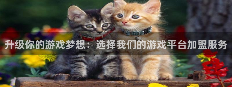沐鸣注册开户：升级你的游戏梦想：选择我们的游戏平台加盟服务