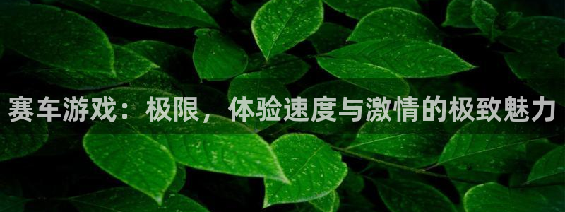 沐鸣登录：赛车游戏：极限，体验速度与激情的极致魅力